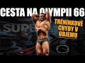 ALEŠOVA CESTA NA OLYMPII 66 | Moje hlavní chyby v TRÉNINKU pro objem