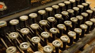 Supreme Animal - Typewriter Keys