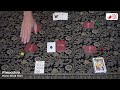 Pinocchio Card Game How To Play