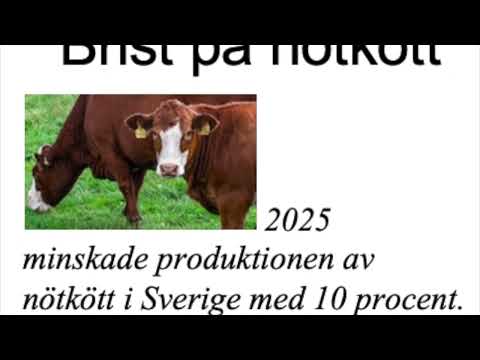 Nyhets-Sidan vecka 5