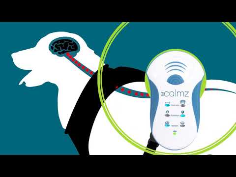 Calmz Anxiety Relief System