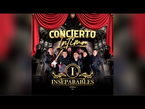 INSEPARABLES - Concierto Curicó 2025 - Me dan ganas de llorar 