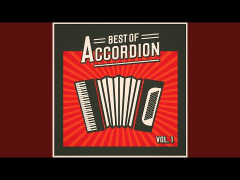 The Canals of Amsterdam