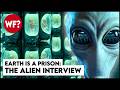 The Roswell Alien Interview Your Soul Has Been Here Thousands Of Times
