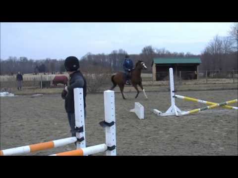 Q 2014 03 08 jump 07