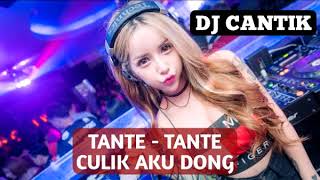 Download lagu Lagu DJ Terbaik 2019 Tante-Tante Culik Aku Dong mp3