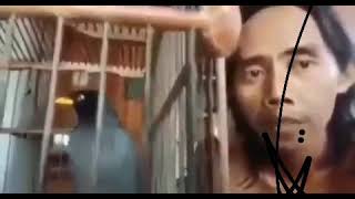 Download lagu status wa bikin burung minder wkwkw #shorts mp3 Download lagu status wa bikin burung minder wkwkw #shorts mp3