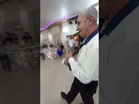 Emil Pondilă- Program de nuntă