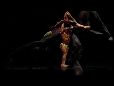 Paar WM - 1985 - IFBB - Teil 3