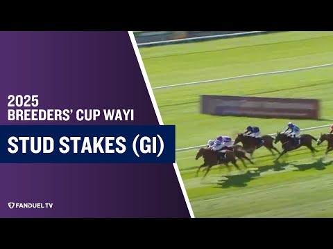 2025 Moyglare Stud Stakes (G1)