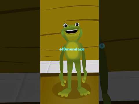 The joke of the 3 Frogs