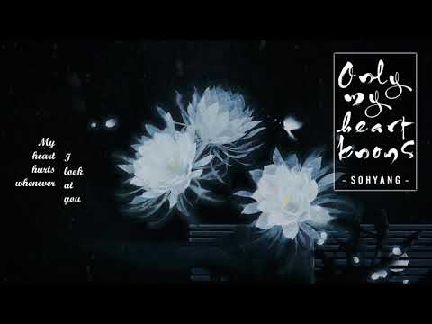 (Engsub | Vietsub)「Sohyang - Only My Heart Knows」, He Hymn Of Death OST (소향 - 가슴만 알죠)
