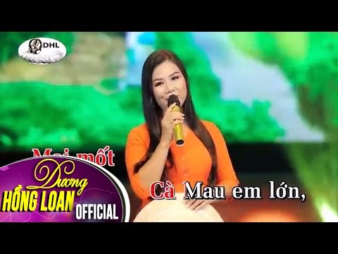 Karaoke | Áo Mới Cà Mau | Dương Hồng Loan