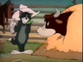 Tom And Jerry Www Sipirok Net 3gp