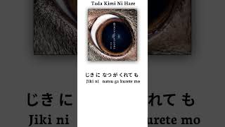 Download lagu Yorushika - Tada Kimi ni Hare mp3 Download lagu Yorushika - Tada Kimi ni Hare mp3