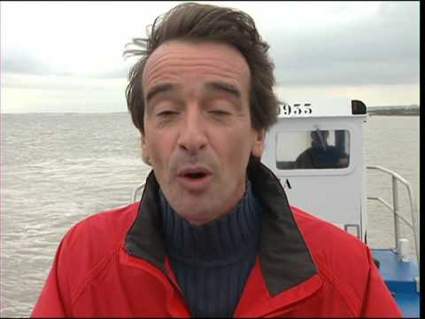 HUÎTRES , un coquillage bien élevé - C'est Pas Sorcier