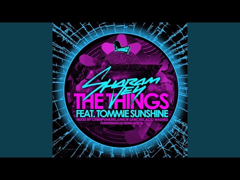 The Things (feat. Tommie Sunshine) (Maxcherry Remix)
