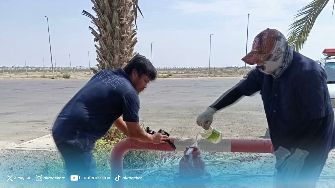 ميناء الملك فهد الصناعي بينبع (week 3 -Aug )