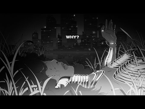 Video thumbnail for Why