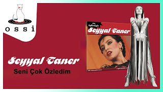 Seni Çok Özledim Music Video