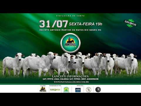 410° LEILÃO DE CORTE PANTANAL LEILÕES - RIO NEGRO/MS - RURAL PLAY