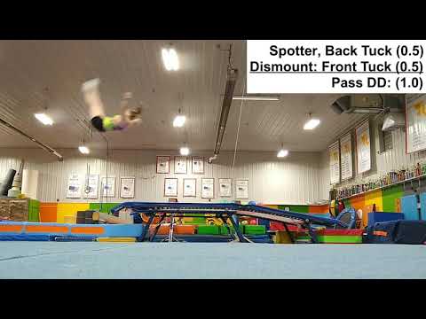 NAIGC Intermediate Flyers - Double Mini Trampoline (DMT) Example Routines