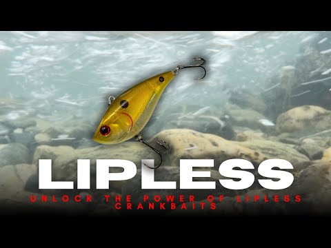 Unlock The Power Of Lipless Crankbaits And Double The Bass You Catch In 2026!