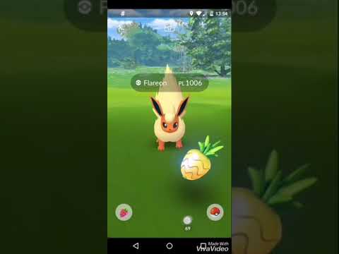 Catturare eevee e le evoluzioni di eevee Pokemon go