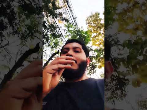 De paseo con Airvape XS Go y Firulais 🐕