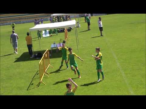 MEIA FINAL FIÃES 3  SALGUEIROS 0    17 06 2013