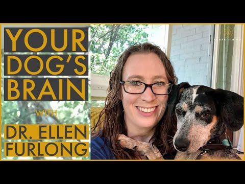 Dog Minds Decoded with Ellen Furlong