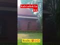Kalsi Ashok Ka Lek