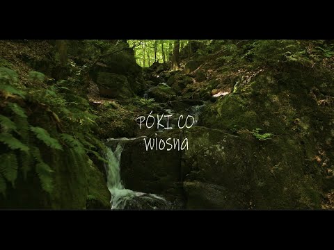 PÓKI CO - Wiosna 4K (Official Video)