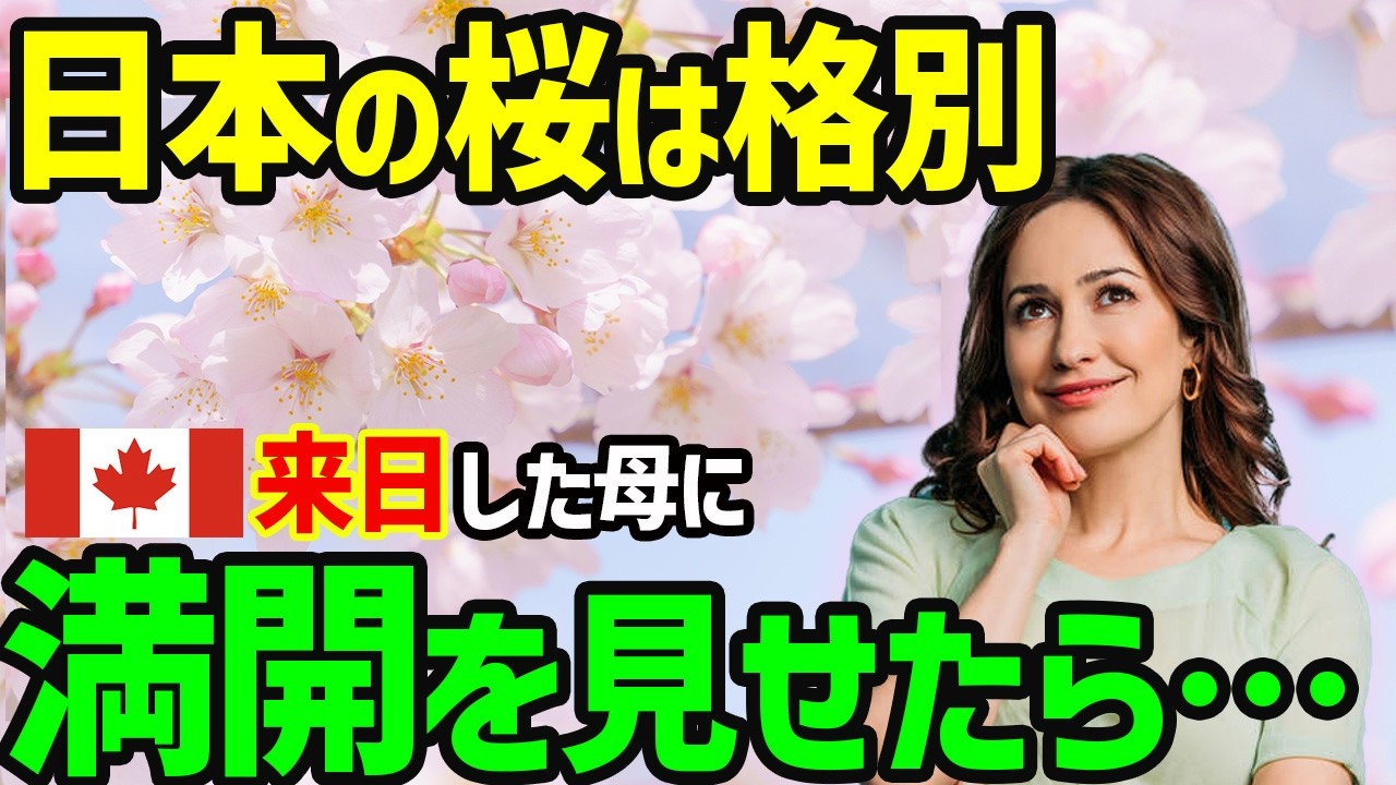【海外の反応】「一生忘れることはない...」日本の満開の桜を見てカナダ人親子が大号泣...