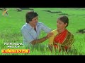 Pothi Vacha Malliga Mottu Video Song Mann Vasanai Pandiyan Revathi Bharathiraja Ilaiyaraja