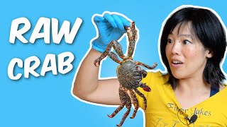 My First Taste of SPICY Raw Crab | Yangnyeom-gejang