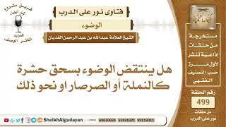 صورة هل ينتقض الوضوء بسحق حشرة كالنملة أو الصرصار أو نحو ذلك؟📔 الشيخ عبدالله الغديان