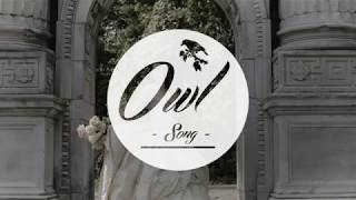 Abraham Alexander - Stay (Lyrics)