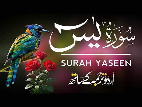 Surah Yaseen | Surah Yaseen With Urdu Translation | Episode - 448