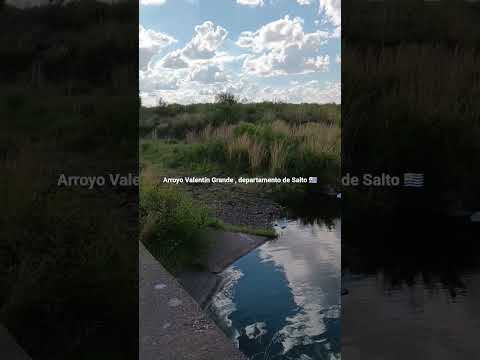 #ArroyoValentínGrandeDepartamentoDeSaltoUruguay , camino entre Puntas de Valentín y Cañ. del Tala 🇺🇾