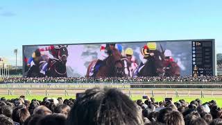 天皇賞(秋) レース前 PV〜生ファンファーレ
