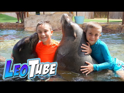 Nadamos con Leones Marinos