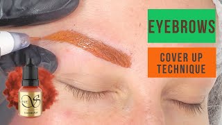 How to correct grey and blue eyebrows. Cover up old pmu brows