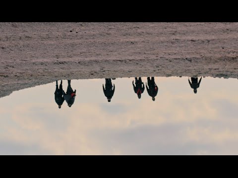 TAIFA YALLAH - LA VERDAD