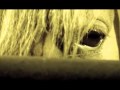 Scars Of Tomorrow - Suffocating Words