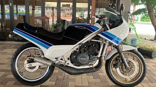 SUZUKI ガンマ250γ GJ21B 85年式　Ⅲ型　カスタム　オールペイント　イカリングLED丸目ヘッドライト&ワンオフフロントカウル　 2スト
