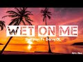 Shalipopi - Ft - Zerry DL - Wet On Me (Lyrics)