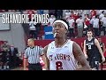 Player Profile Shamorie Ponds