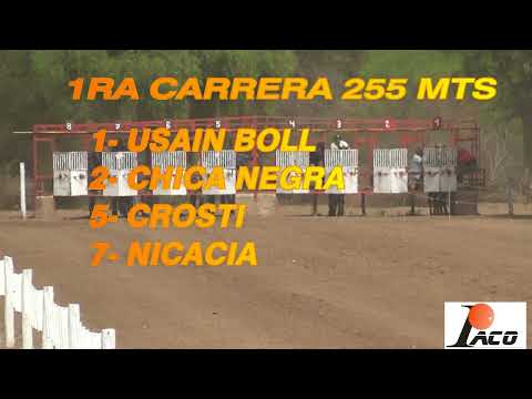 NICACIA HIPODROMO DON NICO BAÑADO DE SOTO 30 10 2022