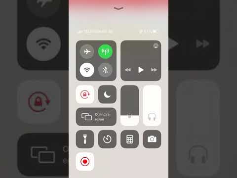 Florin Salam si Bursuc Piticu-Degeaba te îneci in alcool